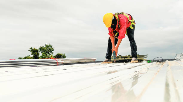 Best Roof Insulation Installation  in Lakeview, WA