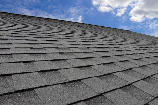 Best Roof Maintenance and Cleaning  in Lakeview, WA